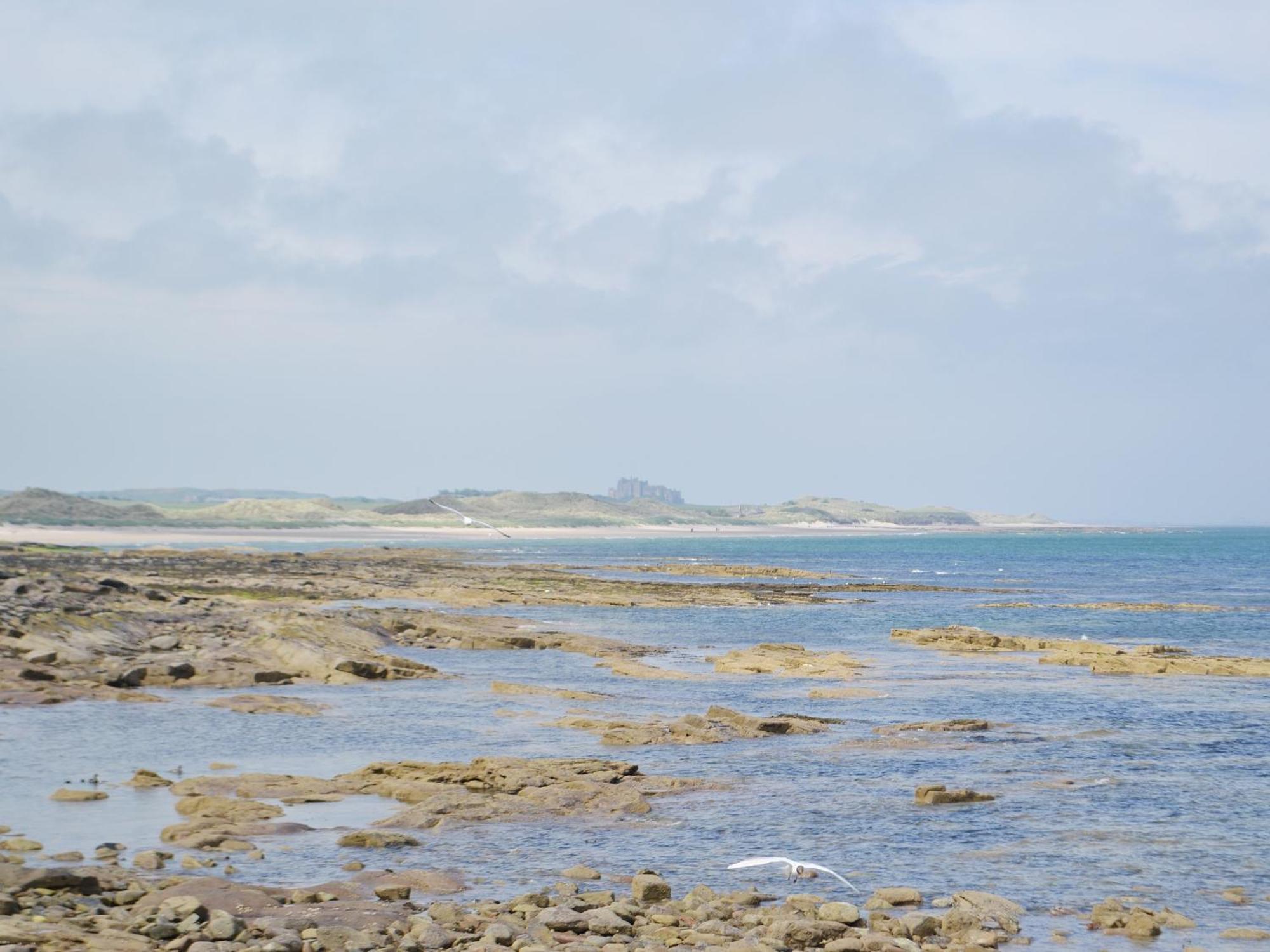 Daisy Cottage Seahouses Exteriör bild